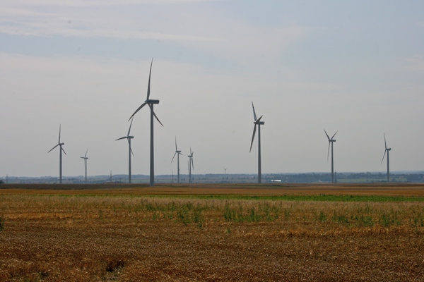 Wind Farmd